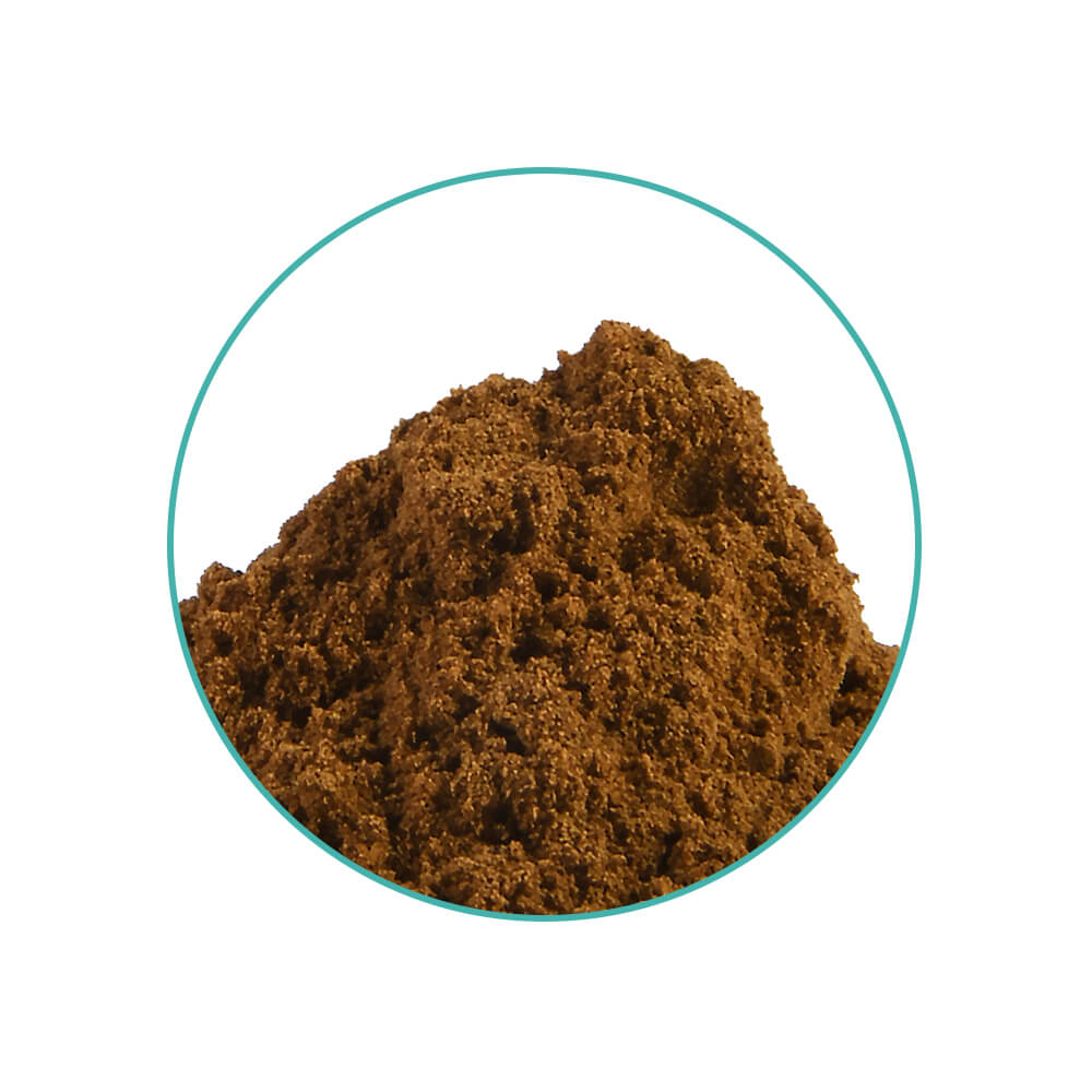 Damiana 10X Extract - 20 gram