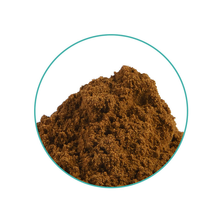 Damiana 10X Extract - 20 gram