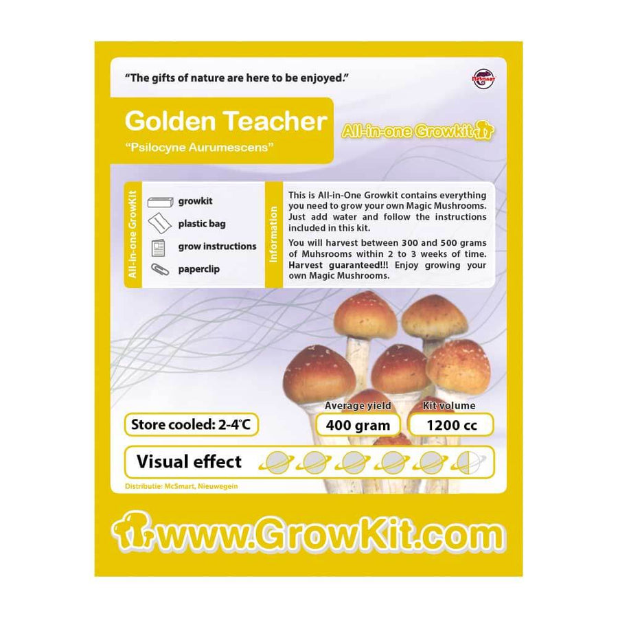 golden-teacher-growkit-1200cc-magic-mushroom-kweekset-wapshop