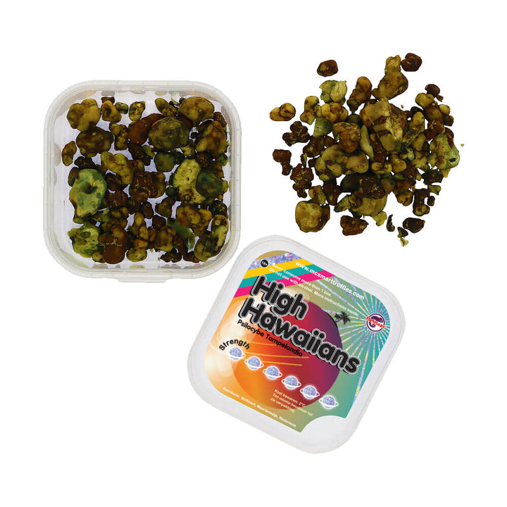 Bovenaanzicht van High Hawaiians Magic Truffels in de verpakking, met een mix van natuurlijke kleuren.