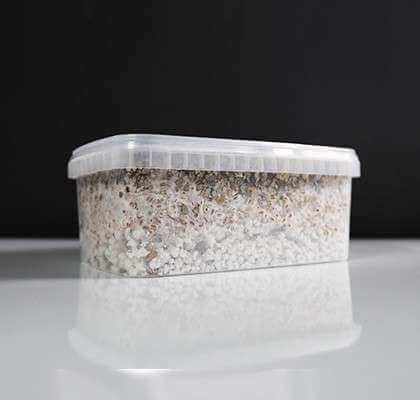 mexican-magic-mushroom-growkit-1200cc-beginner-friendly