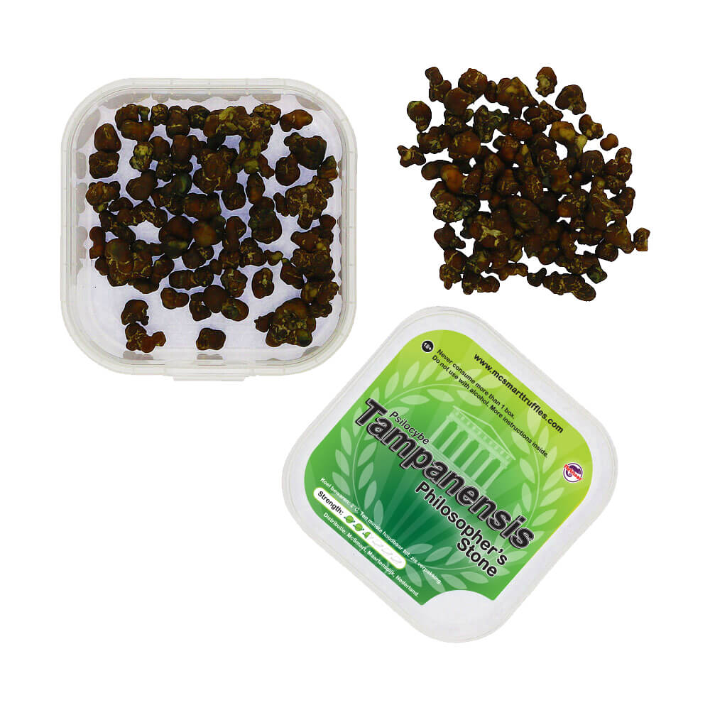 Verse Tampanensis Magic Truffels – 15 gram portie