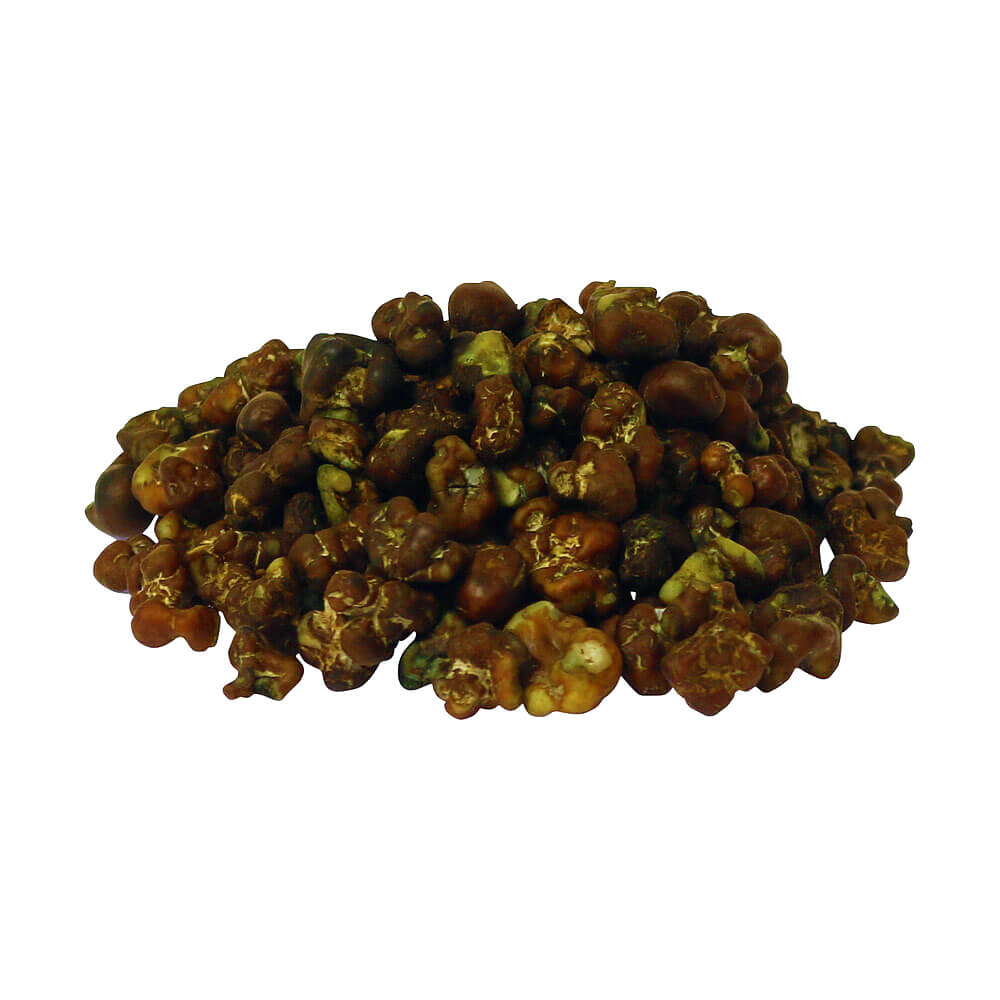 Filosofische truffelervaring met Tampanensis – Psilocybe truffels